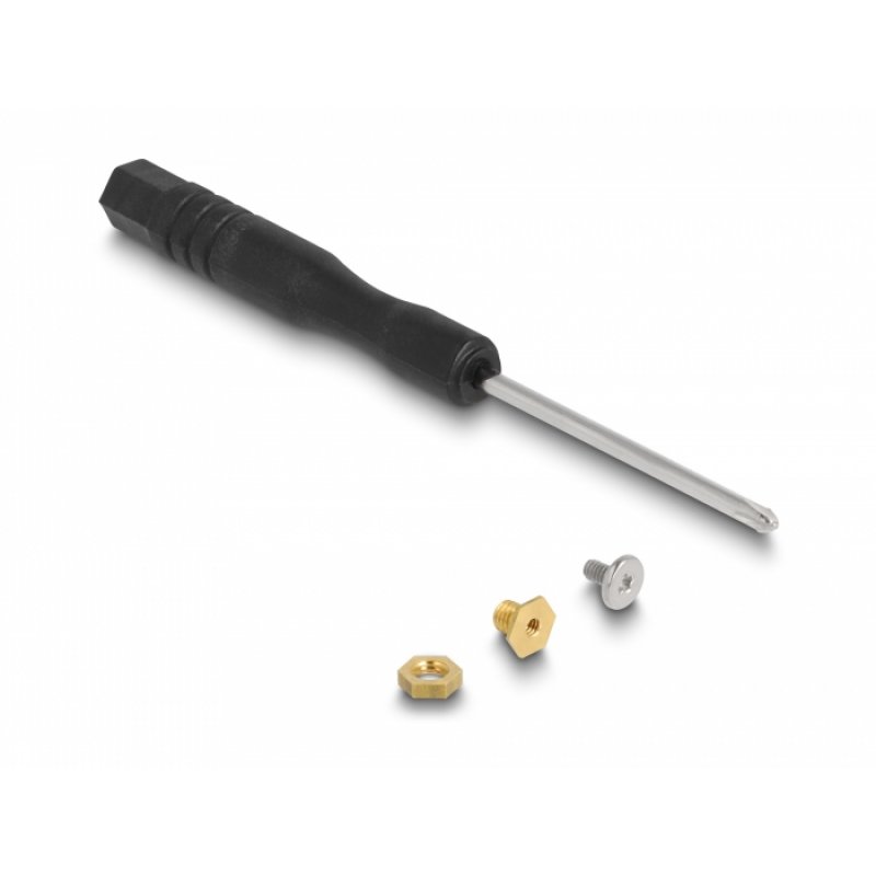 Delock Combo Konverter für M.2 NVMe PCIe oder SATA SSD mit USB 3.2 Gen 2