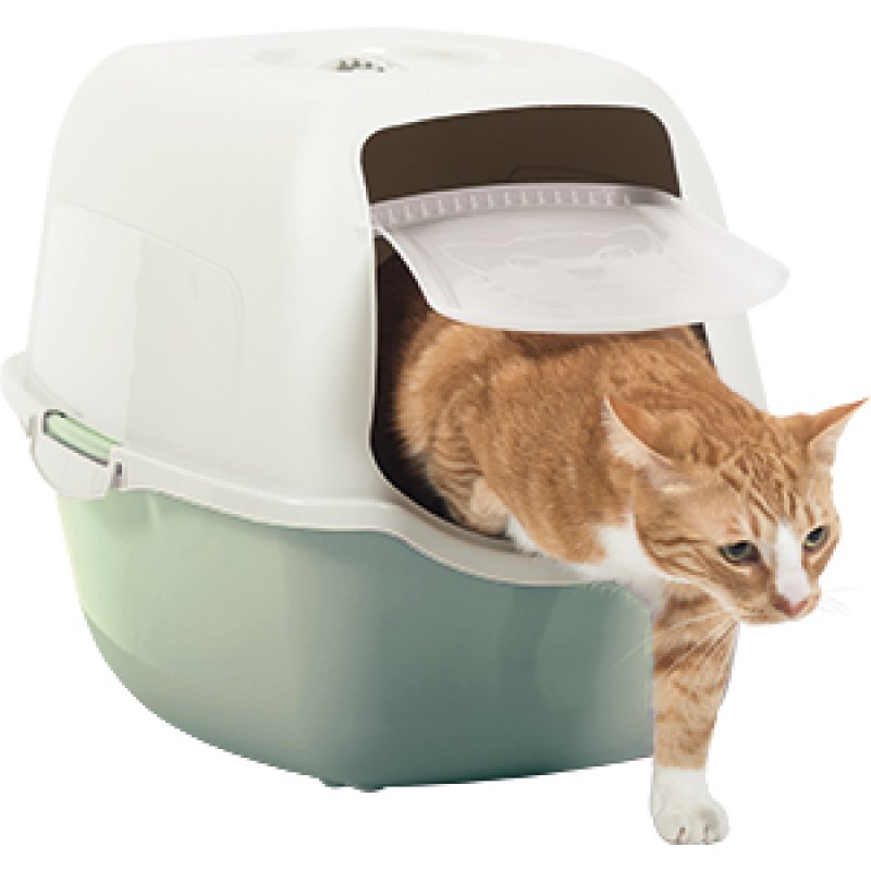 Rotho Bailey Chat Toilettes couvertes pour animaux de compagnie Vert, Blanc