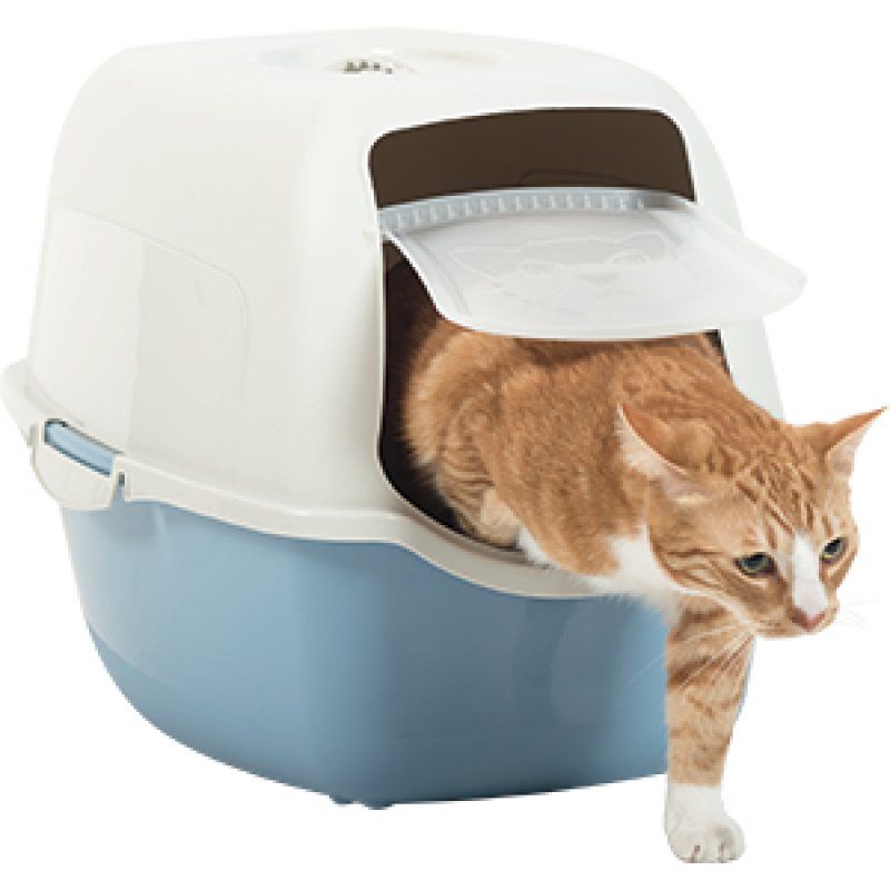 Rotho Bailey Cat Hooded litter box Blue, White