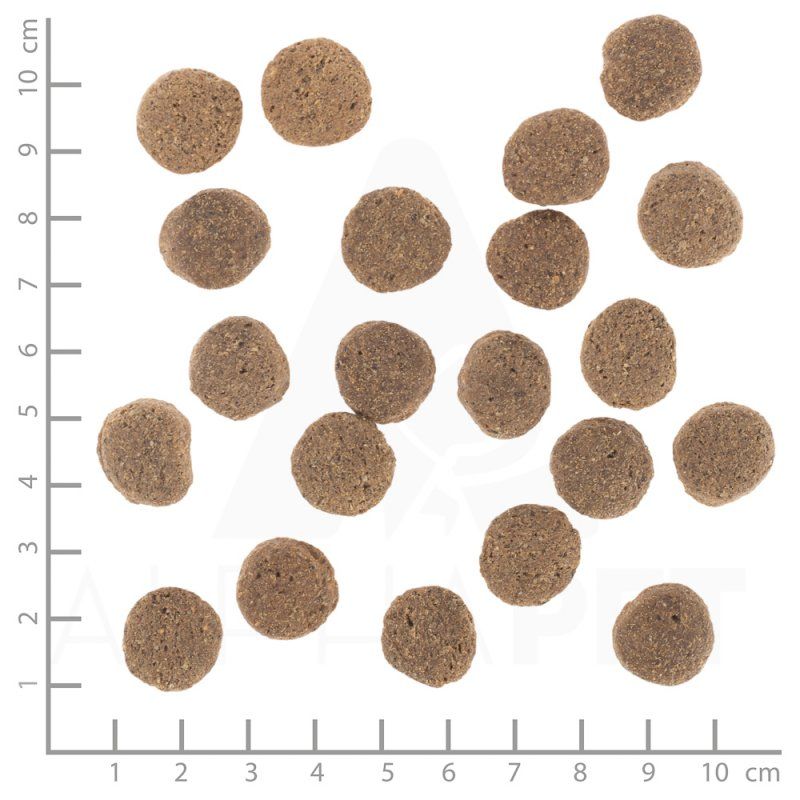 Wolfsblut VetLine Weight Management 12 kg Adult Turkey