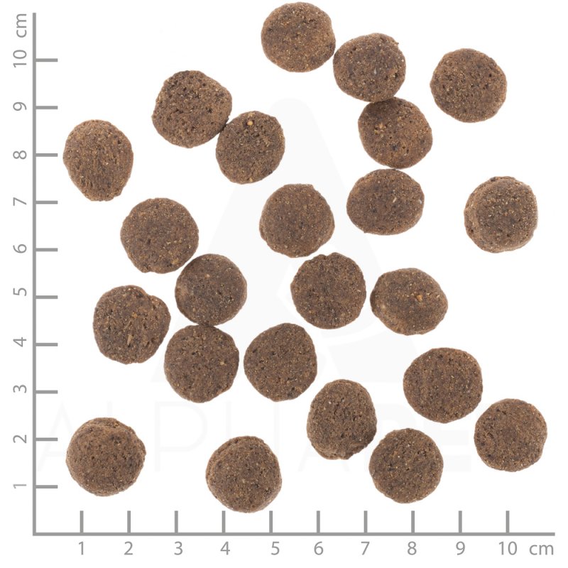 Wolfsblut - Hypoallergenic, 12 kg. - (wb122)