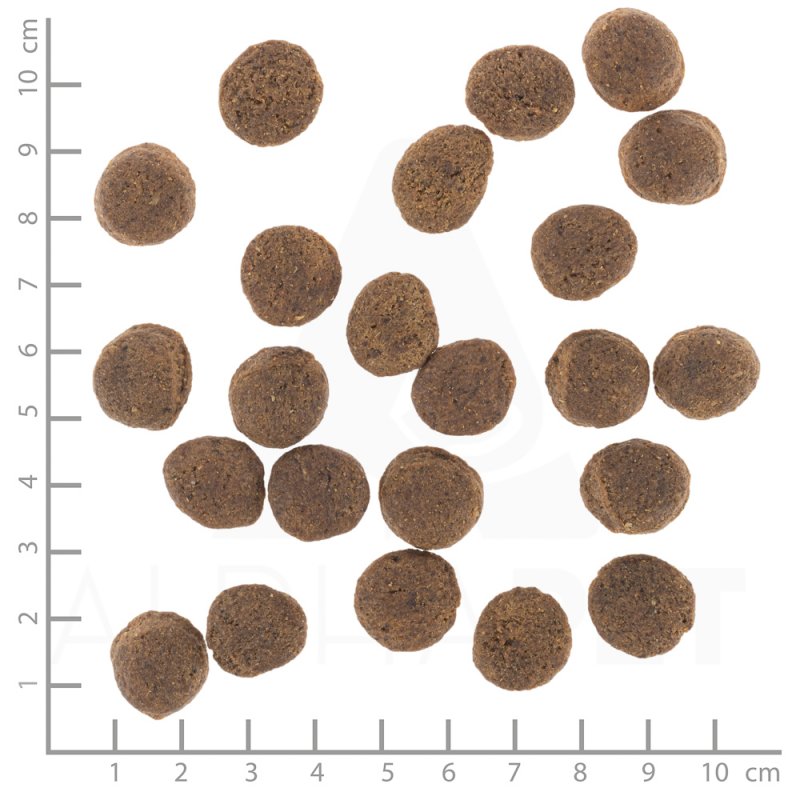 Wolfsblut VetLine Gastrointestinal 12 kg Adulte Canard, Patate douce