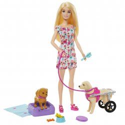Barbie Doll and Accessories