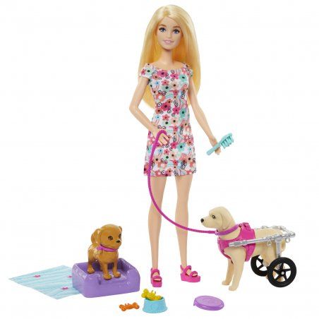 Barbie Doll and Accessories