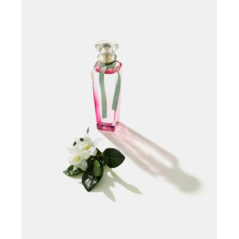 Adolfo Dominguez Agua Fresca de Gardenia Musk Eau De Toilette 120ml