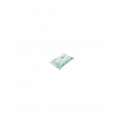 CORINE DE F. TOALLITAS CAMBIO FRESH & NATURAL 70 U