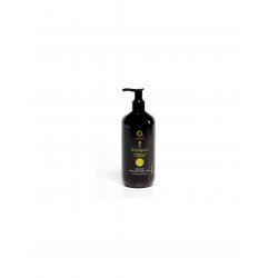 DERMO AFRO CHAMPU MANGO-ARGAN 500 ML