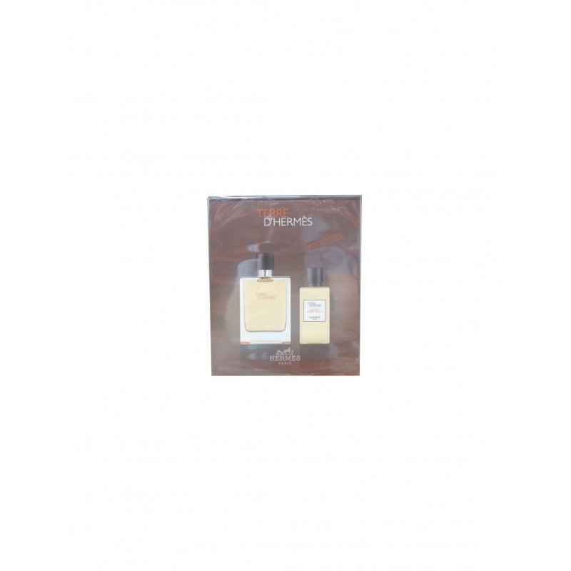 HERMES TERRE EDT SPRAY 100 ML TS