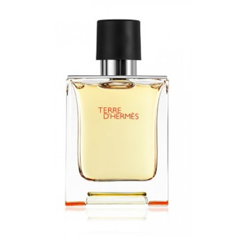 HERMES TERRE EDT SPRAY 50 ML