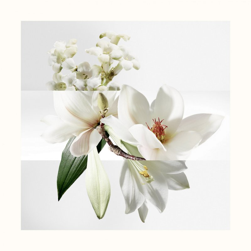 HERMES UN JARDIN SUR LA LAGUNE EDT SPRAY 50 ML