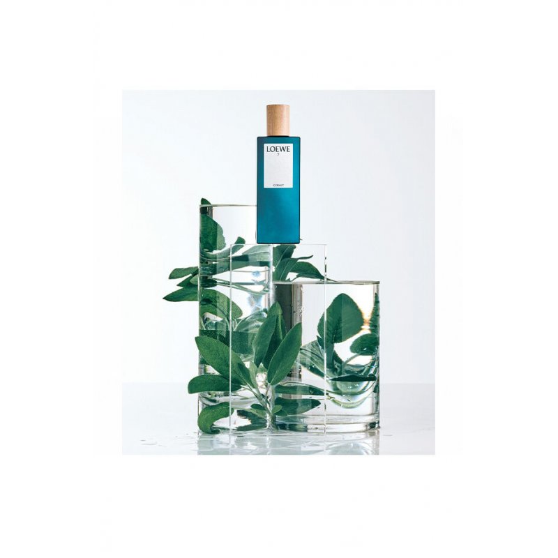 LOEWE Perfumes 7 Cobalt 100 ml Hommes