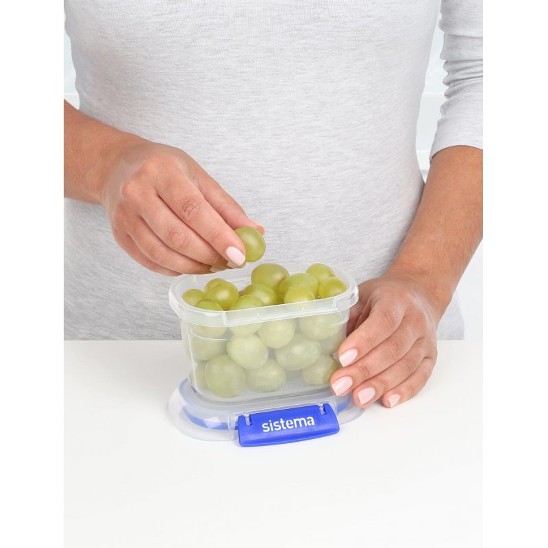 Sistema 881543 boîte hermétique alimentaire Ovale contenant 0,4 L Bleu, Transparent 3 pièce(s)