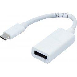 USB 3.1 type C to Displayport adapter