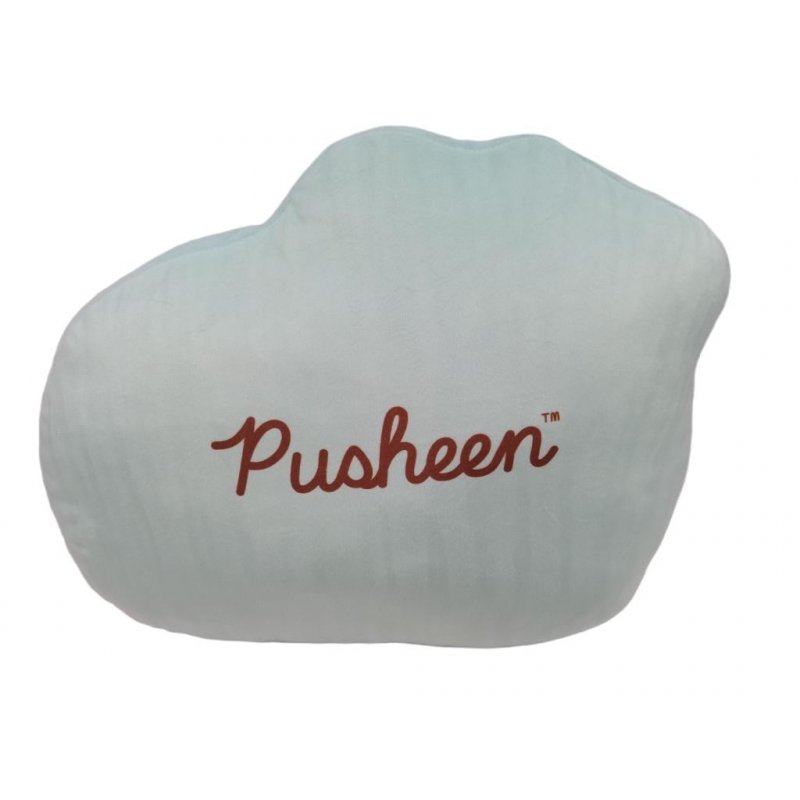 PUSHEEN - Donuts - Coussin 3D
