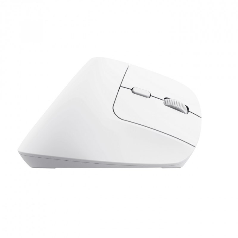 Trust Bayo souris Bureau Droitier RF sans fil Bluetooth Optique 2400 DPI