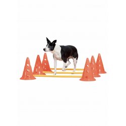 PAWISE - Agility Training Set 30Cm - (636.9010)