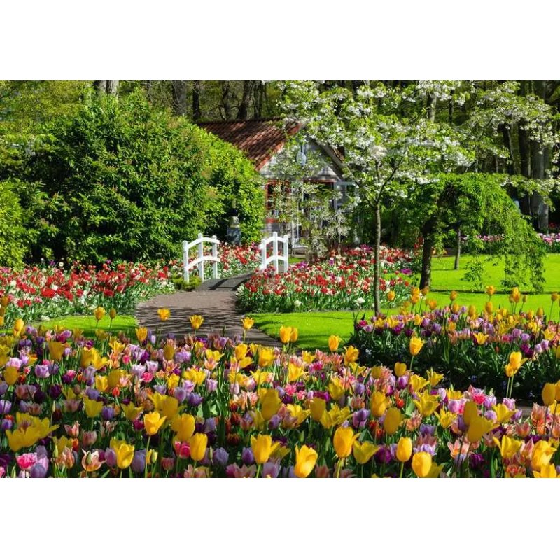 Ravensburger - Keukenhof Gardens 1000p - (12000851)