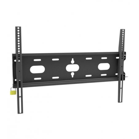 Dis public Mount-D Iiyama MD-WM6040