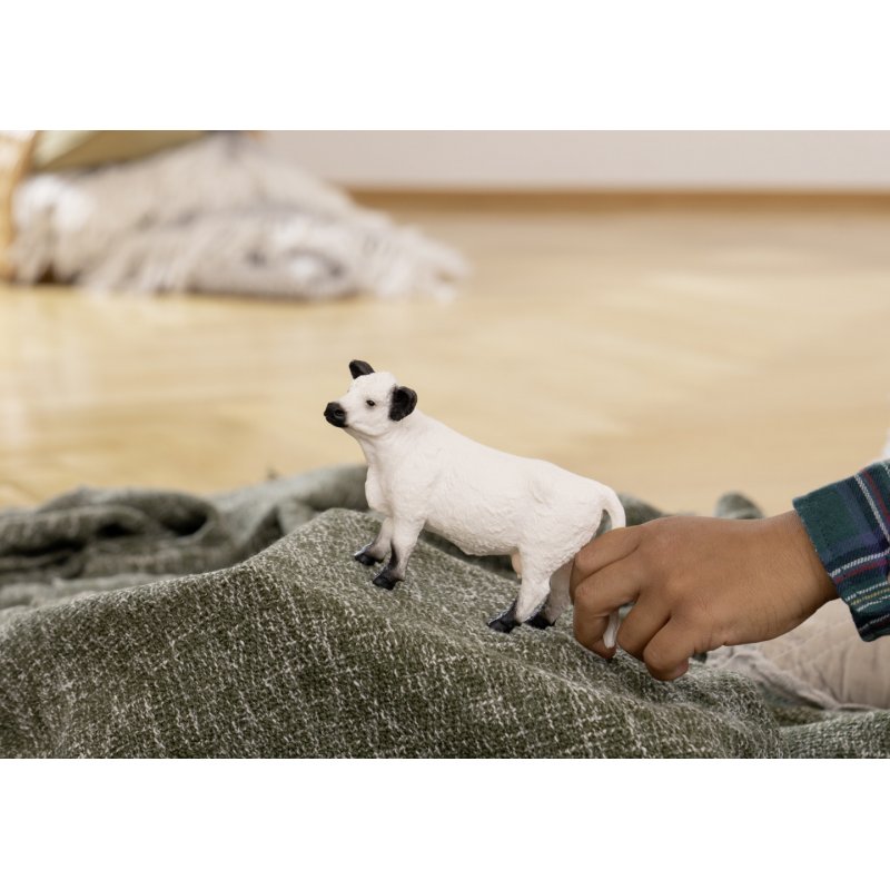 schleich Galloway Cow - 13960