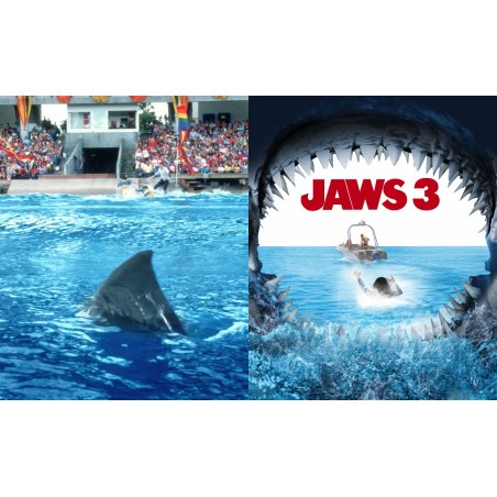 JAWS 3