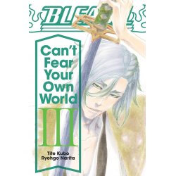 BLEACH - Can't Fear Your Own World - Roman - Tome 3