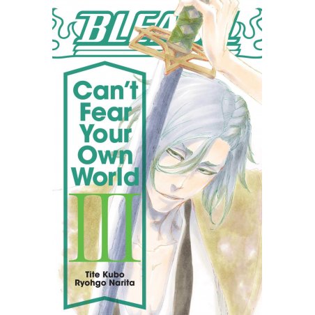 BLEACH - Can't Fear Your Own World - Roman - Tome 3