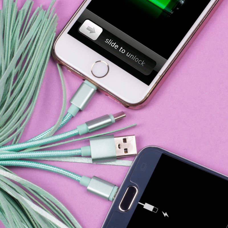 Pusheen Câble de chargement USB 3in1 avec porte-clés Tassel