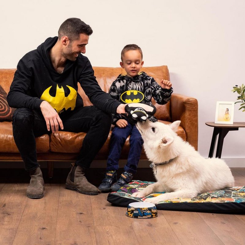 BATMAN - Jouet Peluche pour Chien