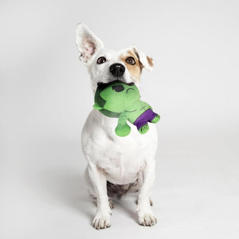 MARVEL - Hulk - Jouet Peluche pour Chien