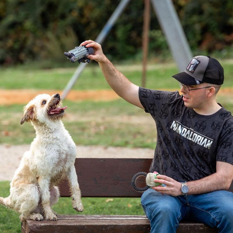 THE MANDALORIAN - Jouet de Dentition pour Chien
