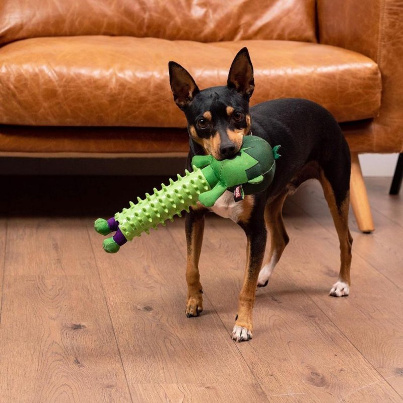 MARVEL - Hulk - Jouet de Dentition pour Chien