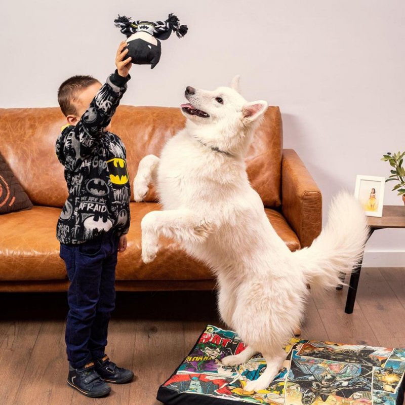 BATMAN - Jouet en Corde pour Chien - Batman