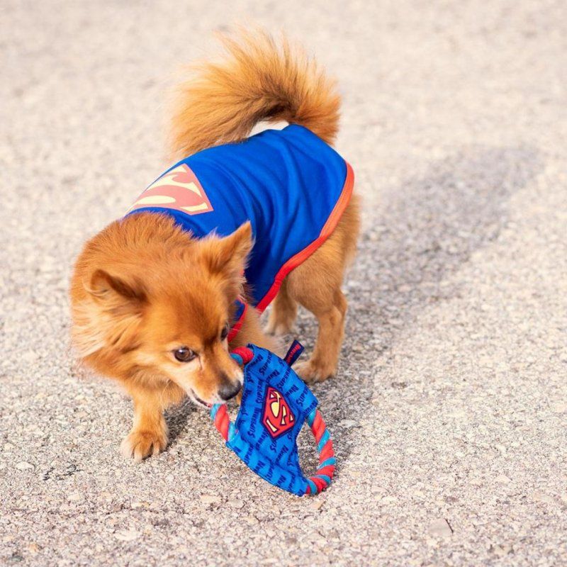 SUPERMAN - Jouet de Dentition en Corde pour Chien