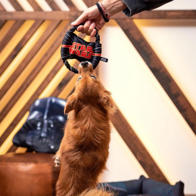 STAR WARS - Jouet de Dentition en Corde pour Chien