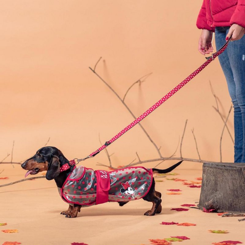 MINNIE - Imperméable pour Chien - S
