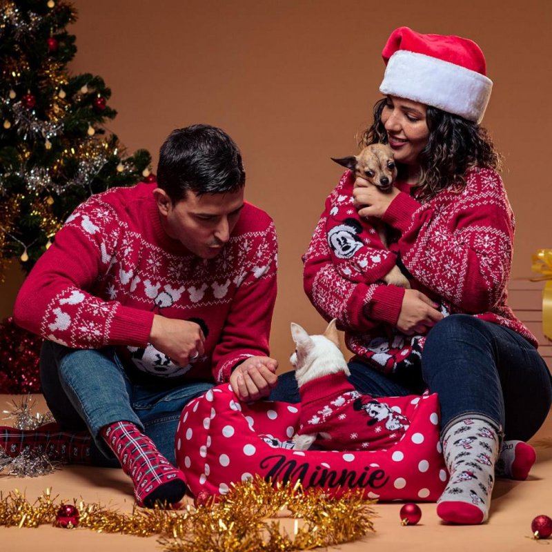 MINNIE - Pull en Tricot pour Chien - XXS