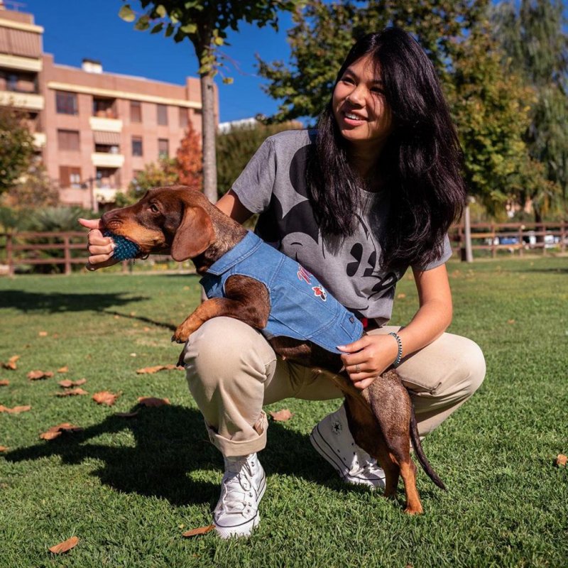 MINNIE - Veste en Jeans pour Chien - M