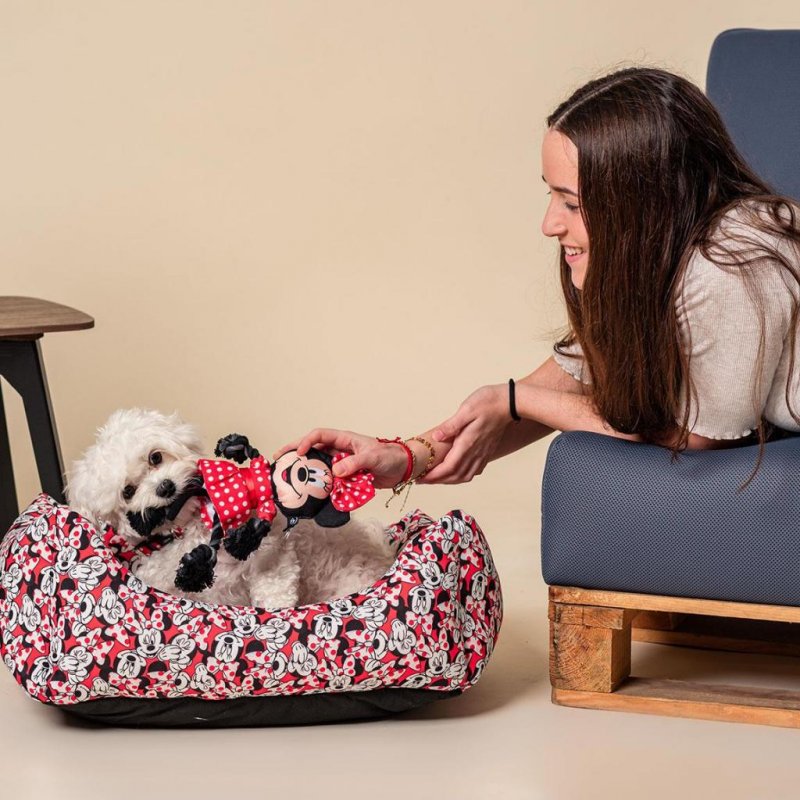 MINNIE - Panier pour Chien - 35x50x15 CM