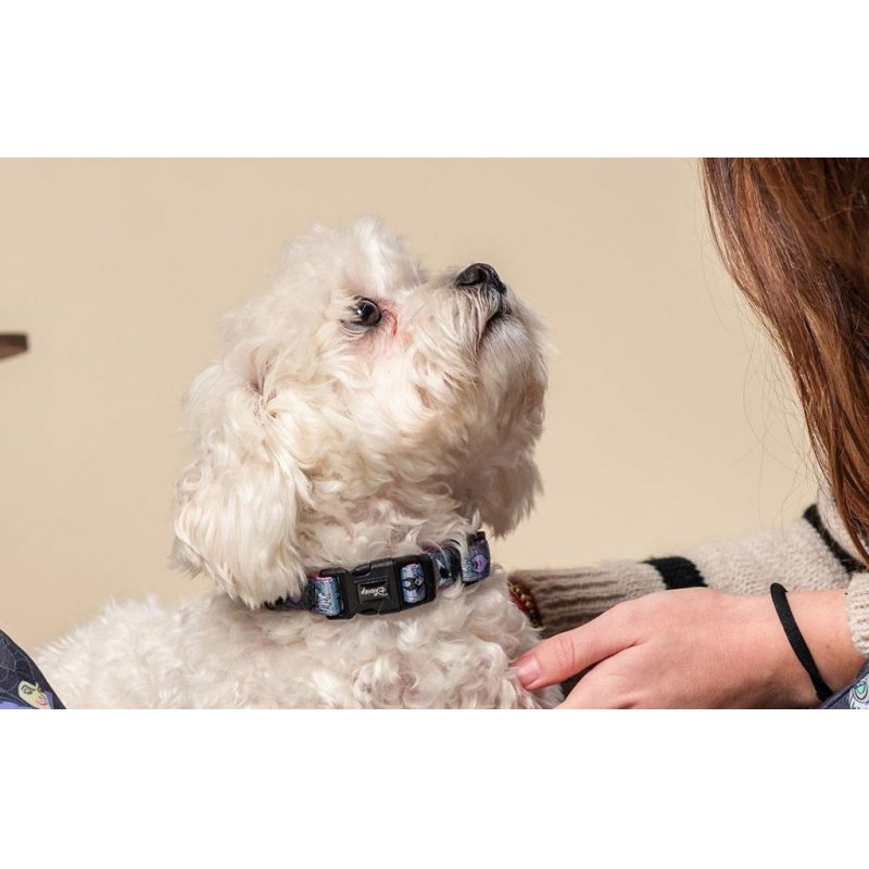 VILLAINS - Collier pour Chien - XS