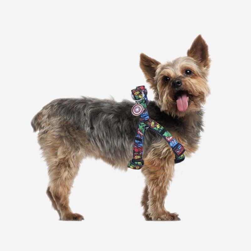 MARVEL - Harnais chien - XXS/XS (Longueur 29-41cm - Largeur 1.5cm)