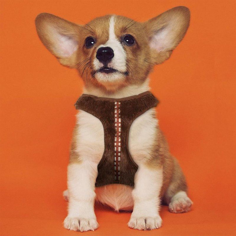 CHEWBACCA - Harnais chien - M/L (Longueur 60-95cm - Largeur 4.8cm)