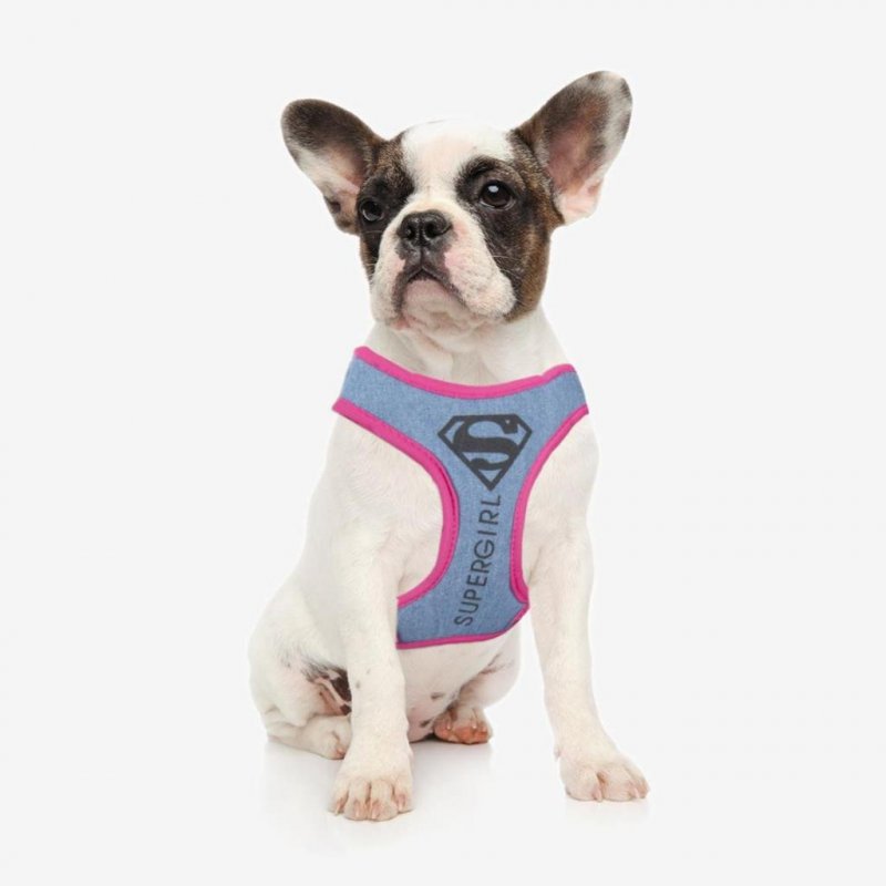 SUPERGIRL - Harnais chien - XXS/XS (Longueur 29-41cm - Largeur 2.4cm)