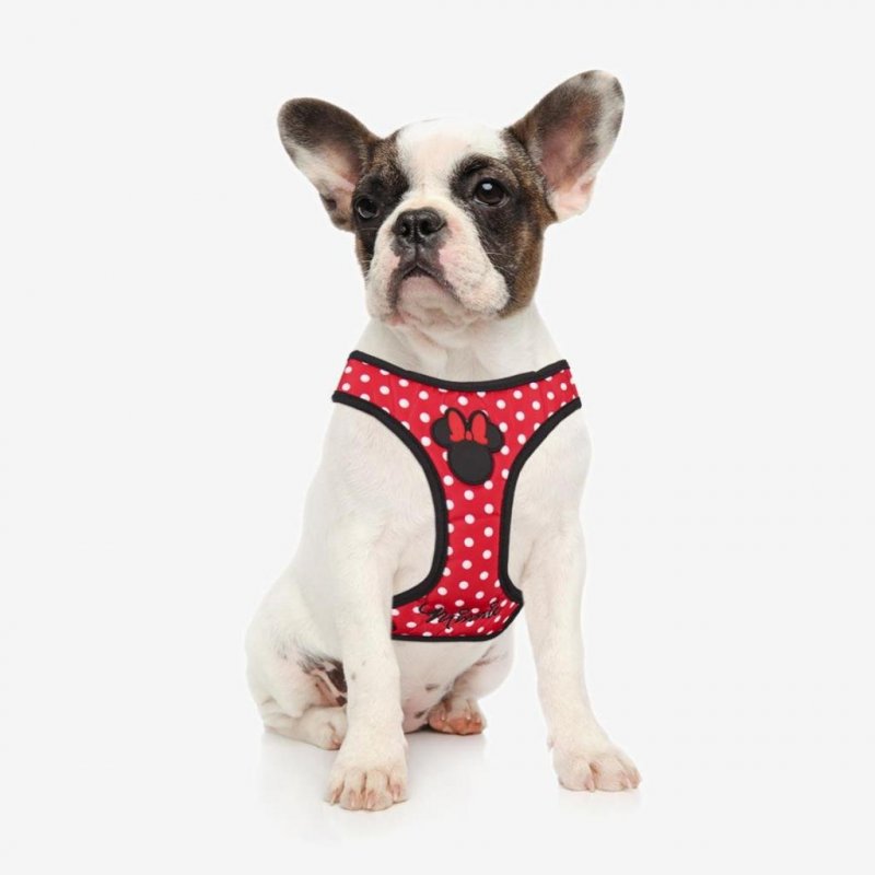 MINNIE - Harnais chien - M/L (Longueur 60-95cm - Largeur 4.8cm)