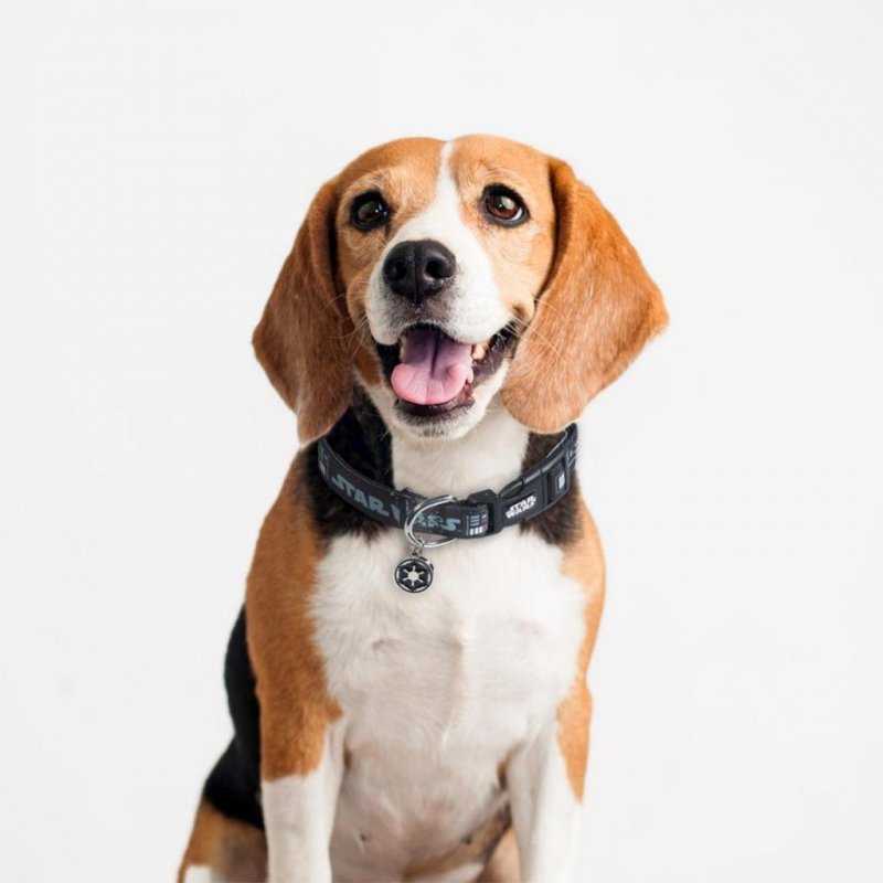 DARTH VADER - Collier chien - S (Longueur 30-45cm - Largeur 2cm)