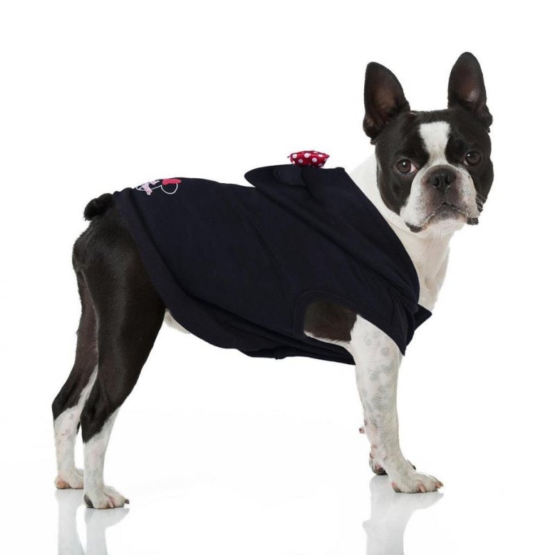 MINNIE - Hoodie chien - XXS (Long. 22cm - Tour de taille 34-42cm)