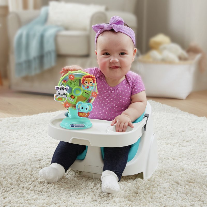 VTech Baby LA GRANDE ROUE DES LOULOUS