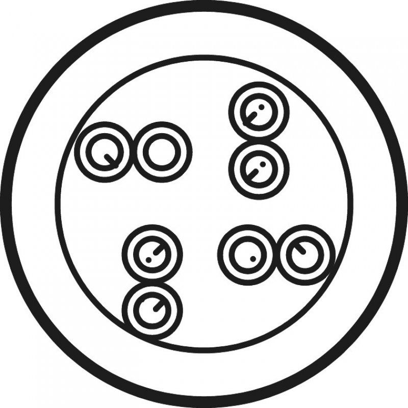 Netzwerkkabel Cat.6, U/UTP (weiß, 100 Meter)