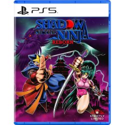 Shadow of the Ninja - Reborn