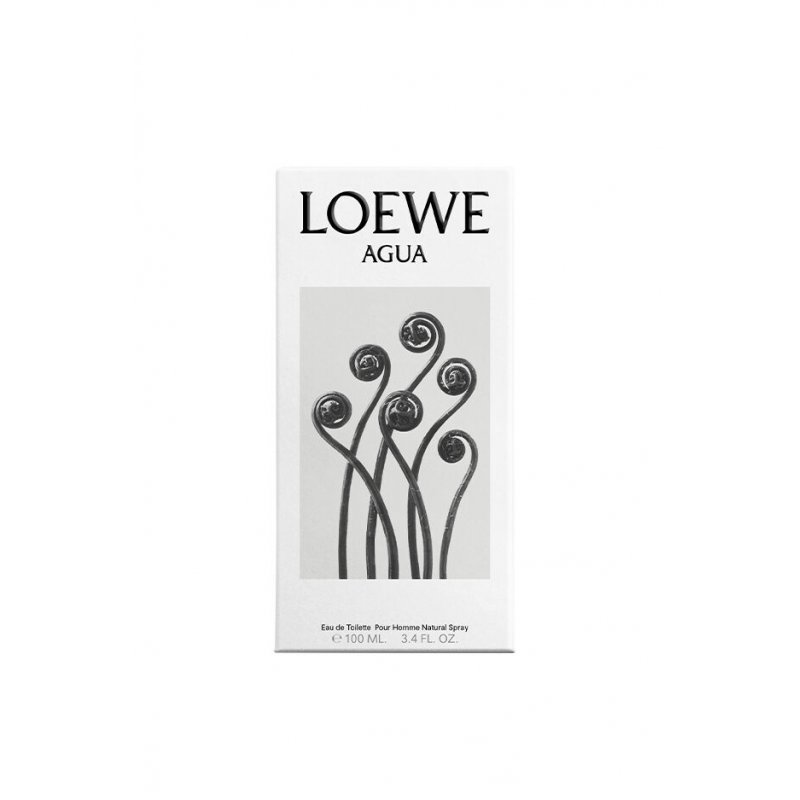 LOEWE AGUA EDT SPRAY 100 ML