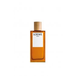 LOEWE Perfumes Solo 100 ml Hommes